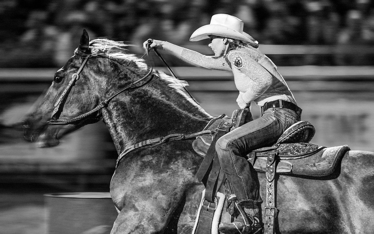 rodeo, cowgirl, horse-6635972.jpg