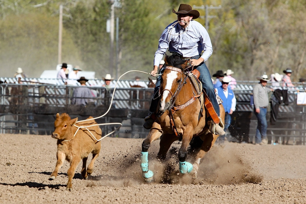 Ultimate Calf Roping Visit Decatur Texas