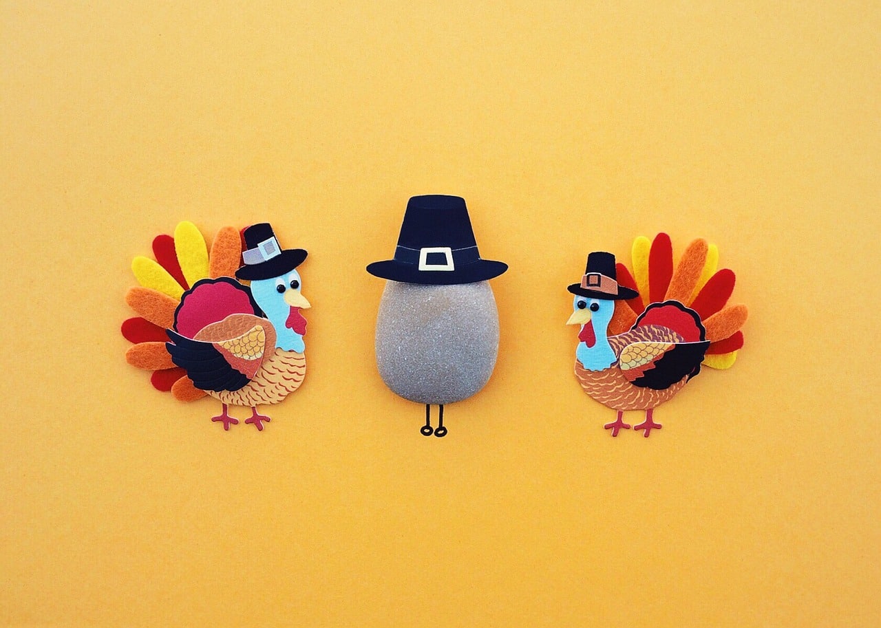 thanksgiving, turkey, holiday-1801986.jpg